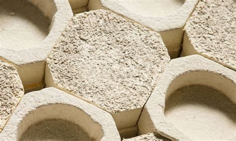 Using Mushroom Mycelium as a Sustainable Packaging Alternative