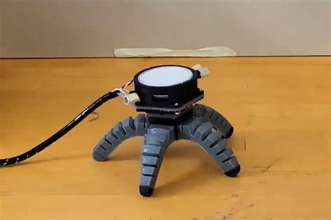 Z Prahy až k robotice: Houby jako zdroj vědy i gurmánského zážitku
